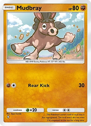 Mudbray