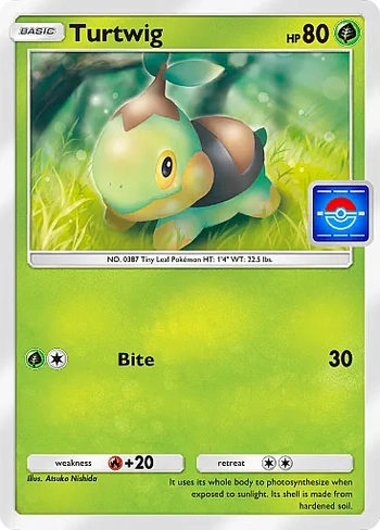 Turtwig